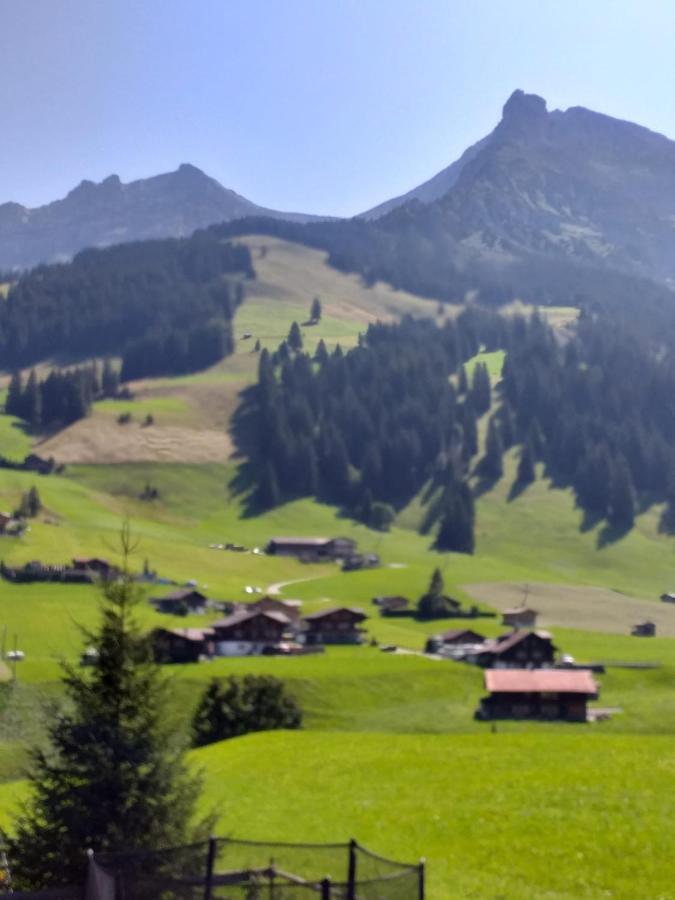 Ferienwohnung Chalet Aloa Adelboden Exterior foto