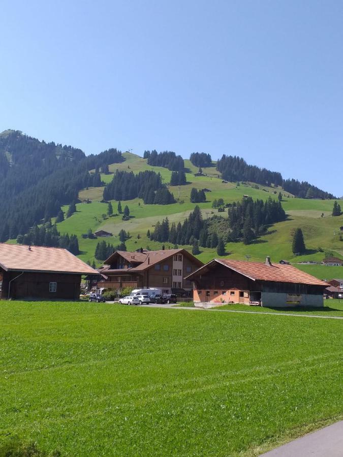 Chalet Aloa Adelboden Exterior foto